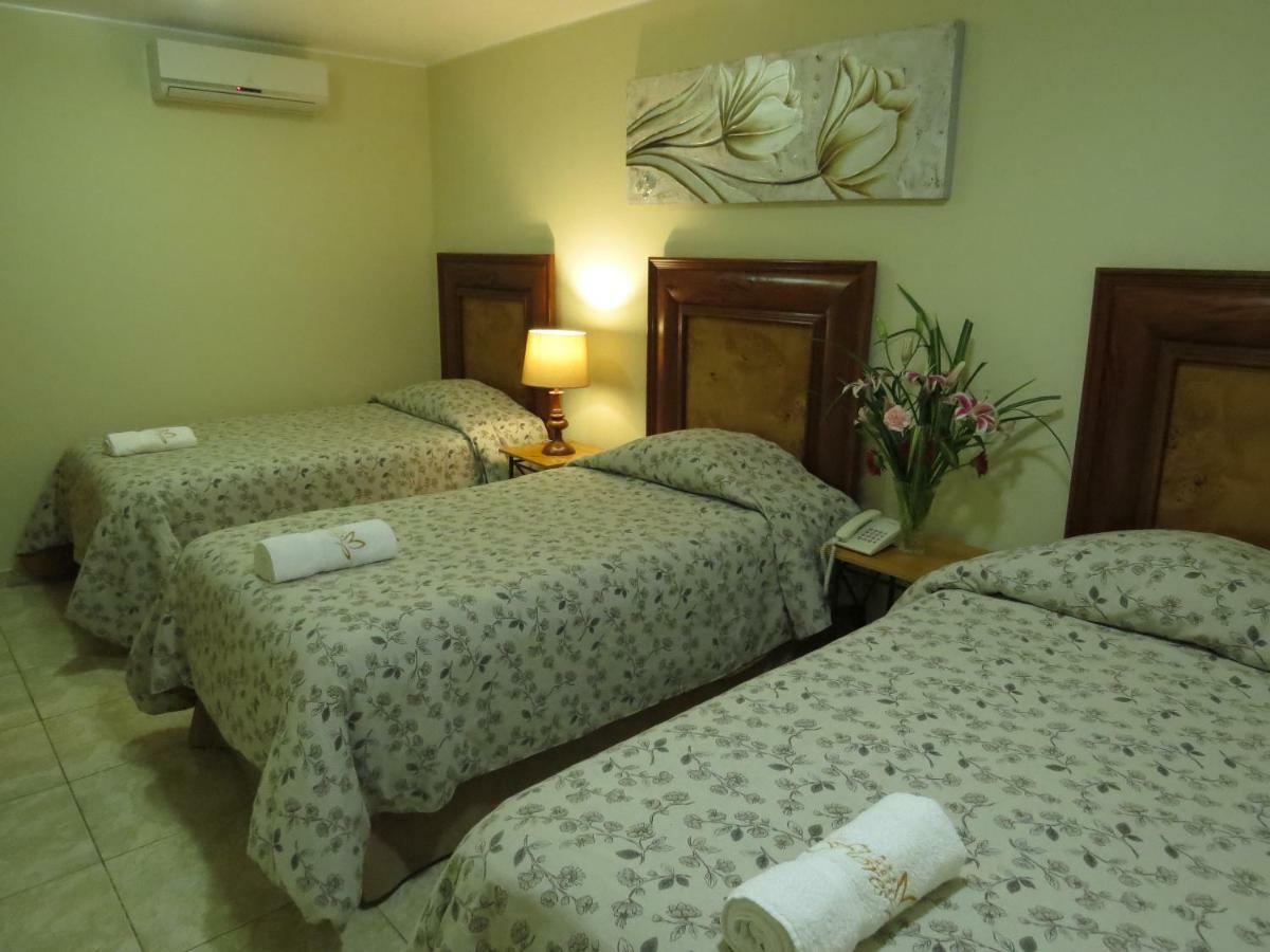 Hotel Las Flores イカ エクステリア 写真